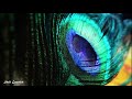 Happy Krishna Janmashtami Status Krishna Janmashtami WhatsApp Status Krishna Status