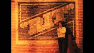 Lee Ritenour - Mr. Briefcase