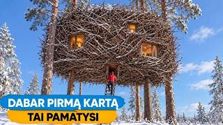 15 neįprastų namų medžių viršūnėse!