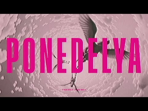 MONEY Q WRIST - PONEDELYA (Official Video)