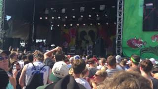 The Arcs - Flower in your pocket