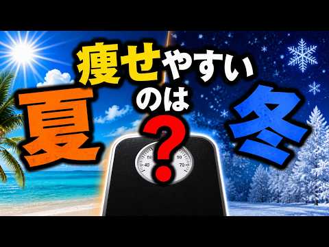 夏より冬のほうが痩せやすい？体が教えてくれる季節のヒミツ