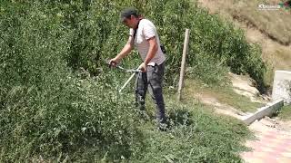Рыбалка на завтра в нижнем казанище