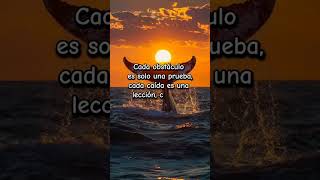 A veces sientes que está todo en tu contra❤️