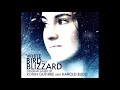 Harold Budd & Robin Guthrie - White Bird in a Blizzard OST (2014) (Full Album) [HQ]