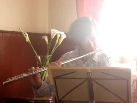 Sawayakana Asa (Takayuki Negishi)