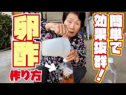 卵の殻をトマトに使うには？植えた瞬間から植物を元気にするためのヒント  庭園