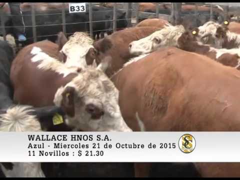 21-10-15 Venta de Gordo - Wallace Hnos S.A. - Azul