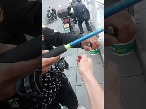 If a fishing line doesn't break when burned, is it a metal line? #cancaumay #fishing #cauca