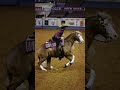 Ladies Gentlemen The Flashh Horsetrainer Horse Reining Ridewithme Horseshowlife