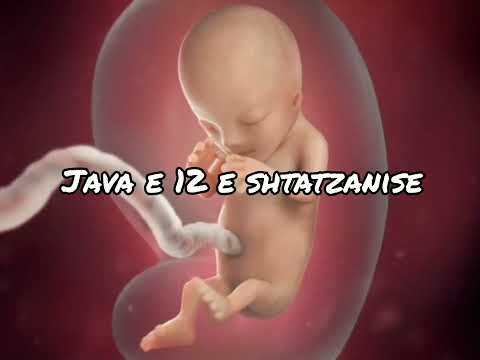 Java e 12 e Shtatzanise. Cfare pritet te ndodhe gjate kesaj jave?