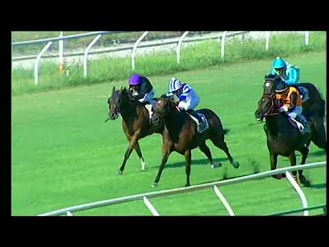 Napoli Galoppo 29/07/2022 - 2ª corsa