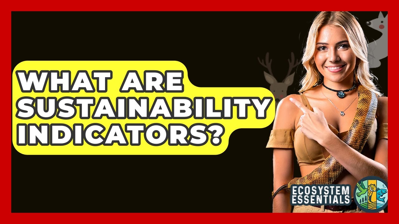 What Are Sustainability Indicators? - Ecosystem Essentials