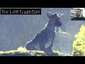 The Last Guardian playstation 4 Gameplay En Espa ol Ps4