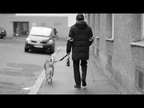 Videoporträt: Leben mit dem Wissen, blind zu werden