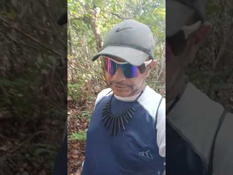 Trilha na Baia da Traição #paraiba #nordeste