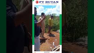 Download lagu Pompa Air Niagara mp3