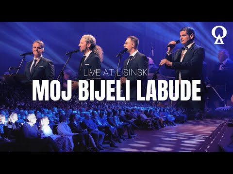 Moj bijeli labude | 4 Tenora
