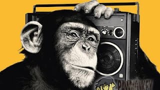 TECH HOUSE - Paw Monkey - Agustin Campomanes