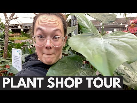 New Plant Shop Tour in Amersfoort | Plant with Roos