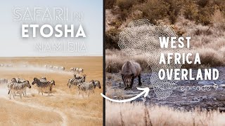 2 Day Safari in Etosha National Park - 7 Rhinos, 3 Cheetahs! - West Africa Overland Episode 9