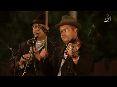 ĽH Petra Obucha : Mám ja koňa faku