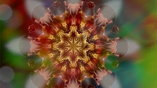 Don&#39;t Give Up - Omaira Falcon