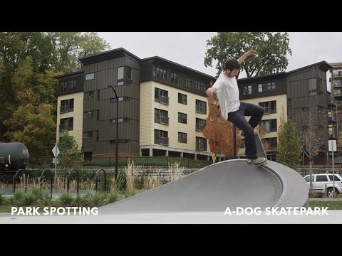 Park Spotting: A Dog Park, Vermont | TransWorld SKATEboarding