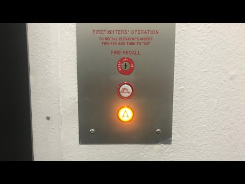 ThyssenKrupp Oildraulic Elevator (Car 2) at Untitled Located 2, Wheaton, MD