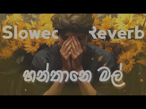 Mahiru Senarathne X Akesh Jayasekara - Hanthane Mal (හන්තානෙ මල් ) - Slowed + Rrverb 🥺💕