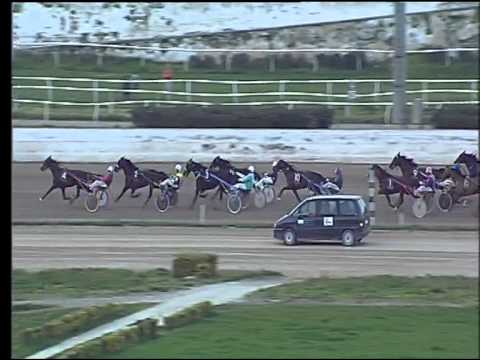 Trotto 19/03/2015 - 7° corsa