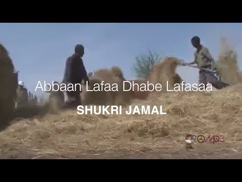 Shukri Jamal - Abbaan lafaa dhabe lafasaa (Oromo Music 2014 New)