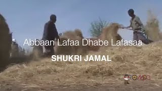 Shukri Jamal - Abbaan lafaa dhabe lafasaa (Oromo Music 2014 New)