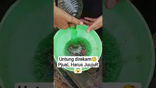 Download lagu Luckily it was recorded🧐Sales Must Be Honest😱 #fypviral #fypyoutube mp3