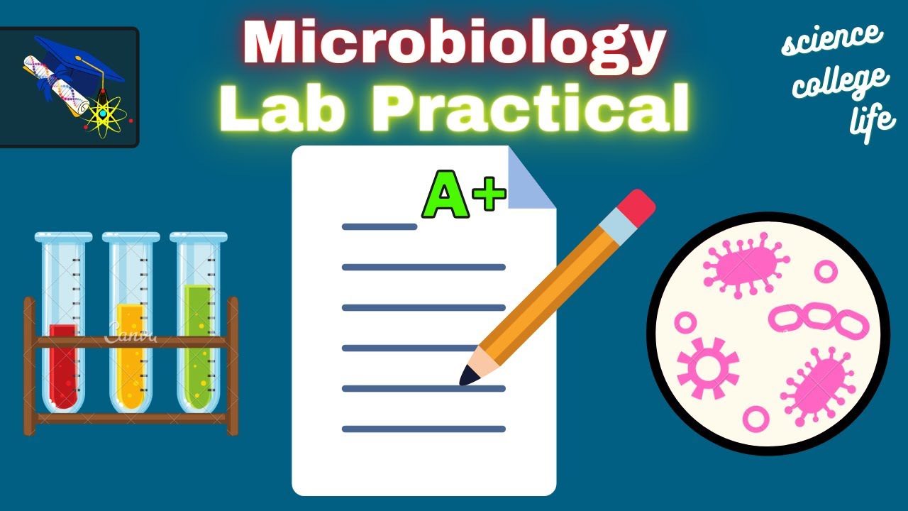 How to study for Microbiology Lab Practical Test