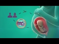 Zika Condom Use During Pregnancy 30sec Video Spot PSI