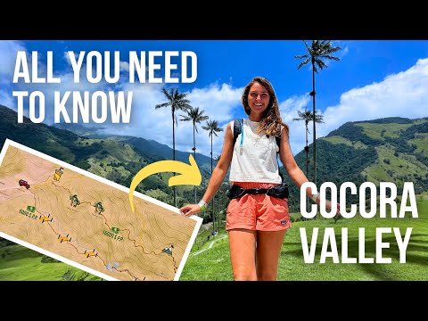 Hiking the Cocora Valley - Colombia