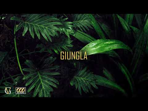 GVBBO - Giungla (TRVPtv EXCLUSIVE Audio)