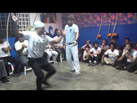 Esquilo e Guaxini em BH .