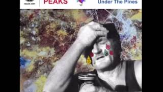 Twin Peaks - "Tossing Tears" [Official Audio]