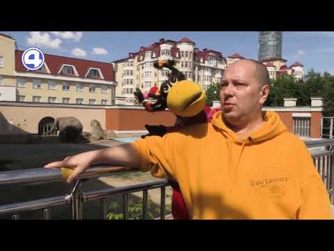 Слониха Даша в Екатеринбургском зоопарке