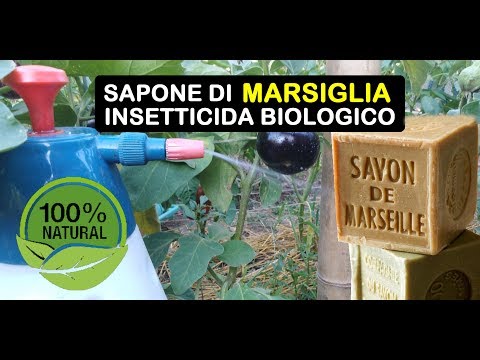 , title : 'SAPONE DI MARSIGLIA INSETTICIDA BIOLOGICO'