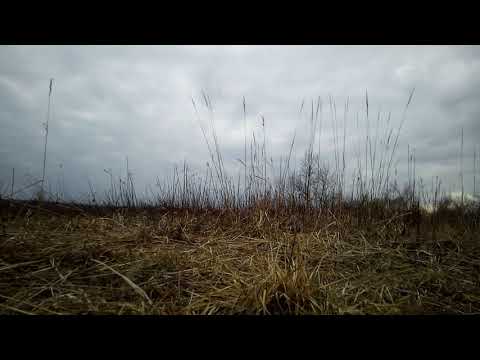 Brzeziny Śląskie . Poland Time Lapse