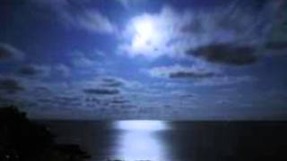 The Moonlight Let Me Down by Mink DeVille