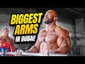 Best Arms in Dubai? Do Cameroon Men Have the Best Genetics for Bodybuilding and Strength?