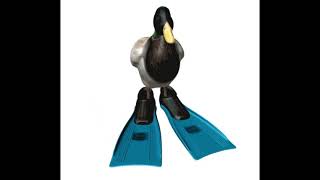 Cover art for Duck spinning to tokyo drift