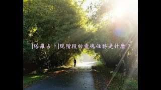 [情報] 于玥命理/週運勢(11/23-11/29)