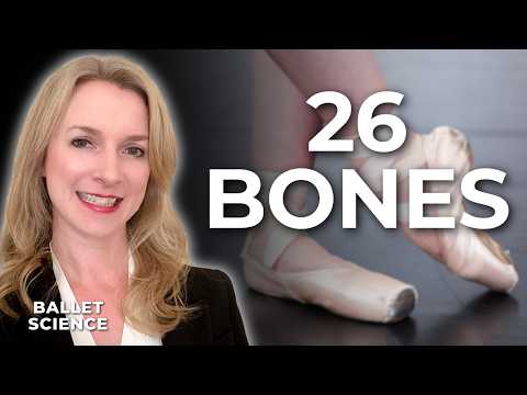 The 26 Bones Every Dancer Should Understand