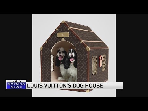 Part of a video titled Louis Vuitton's new $60k dog house - YouTube