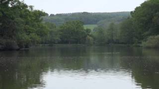 BURY HILL FISHERIES, DORKING, SURREY, ANGLERS MAIL TACTICAL BRIEFINGS